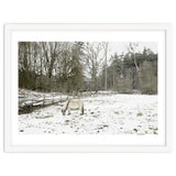 White horse in the snow field thumbnail