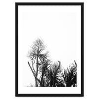Miminalist Palm
