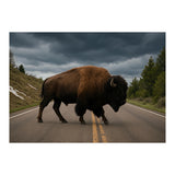 Bison on the Road , Yellowstone Wildlife Photography (Print Only) thumbnail