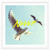 Never Settle thumbnail