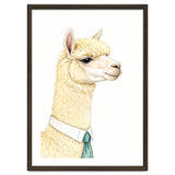 Alpaca thumbnail