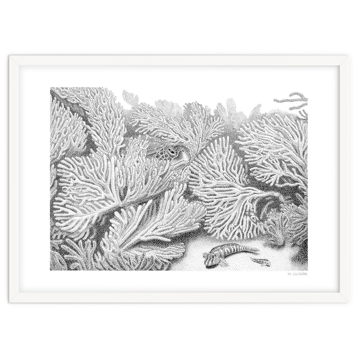 Hidden in plain sight