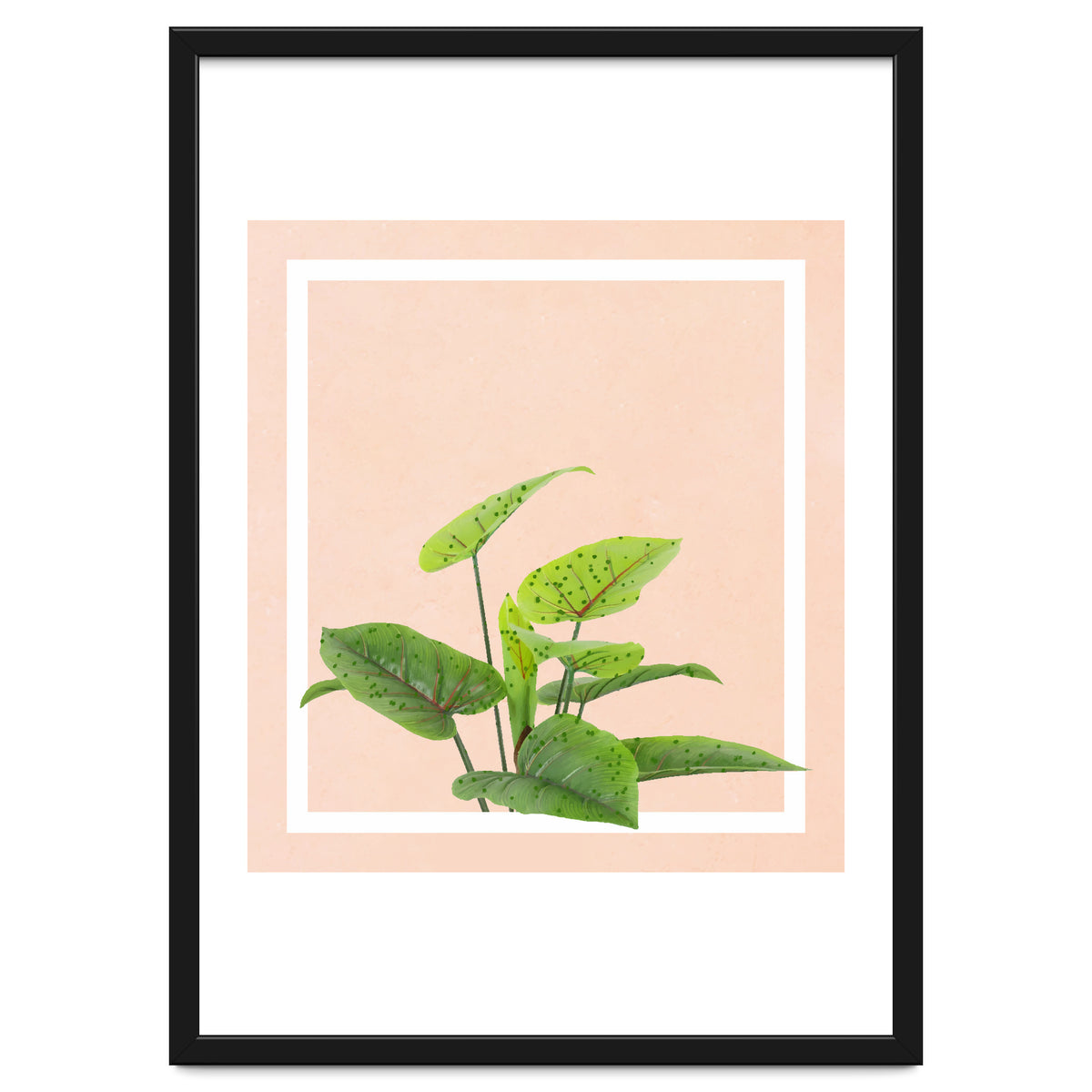 Botanical Art
