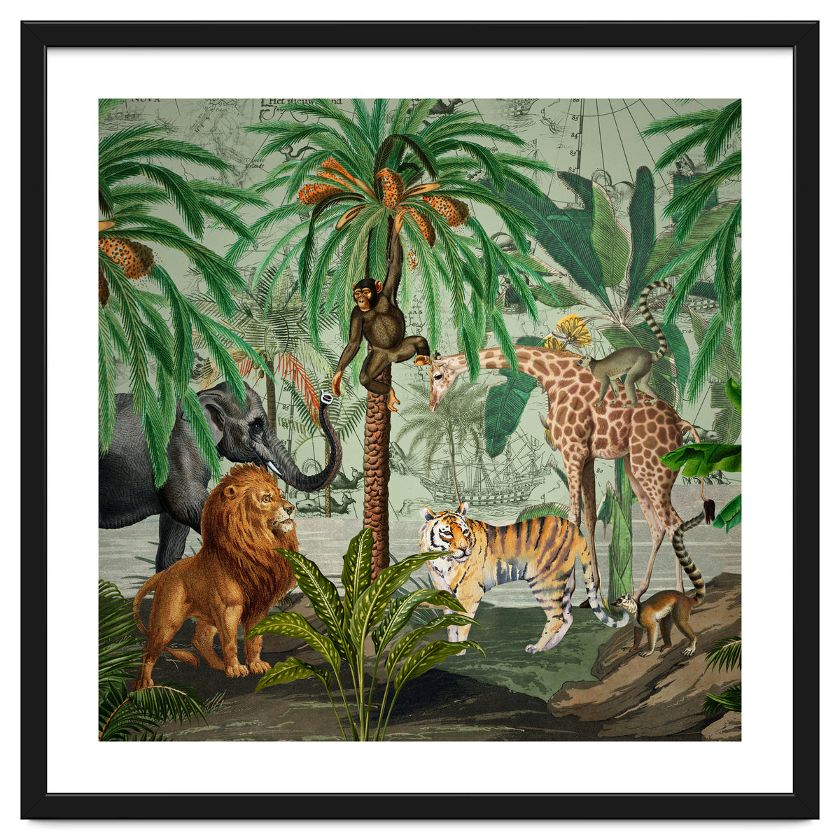 Vintage African Adventure