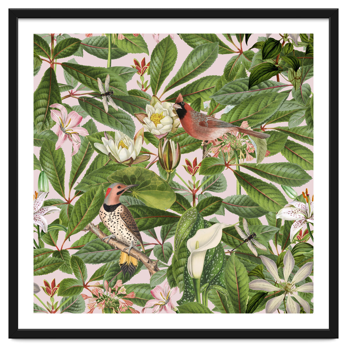 Tropical Bird Garden