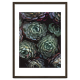 Succulent Plant Ii thumbnail