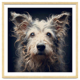 Old Dog 07 thumbnail