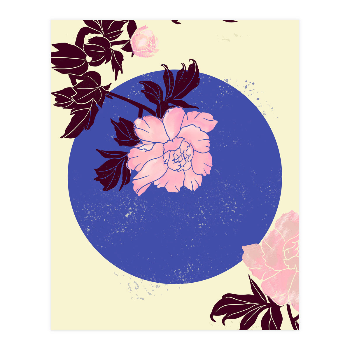 Peony (Print Only)