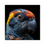 Close Up Of A Colorful Parrot Bird's Head (Print Only) thumbnail