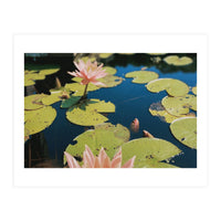 Lotus Pond | Landscape (Print Only)