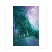 Magical Path (Print Only)