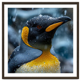 King Penguin Close Up In The Rain thumbnail