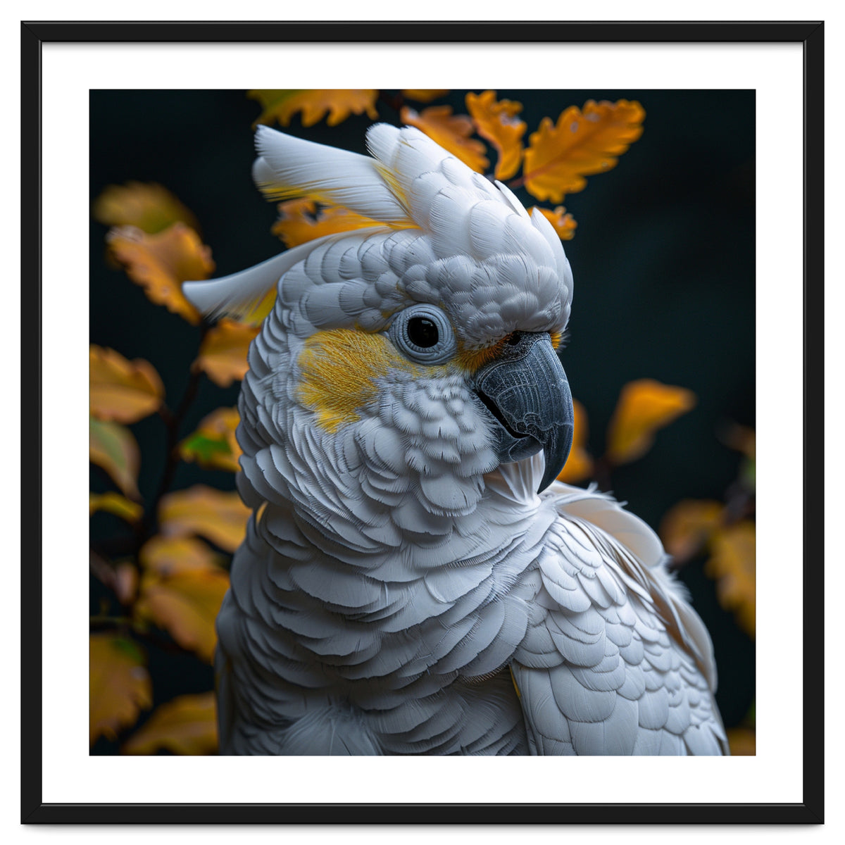 Yellow Crested Cockatoo Portrait Autumn Leaves Dark
