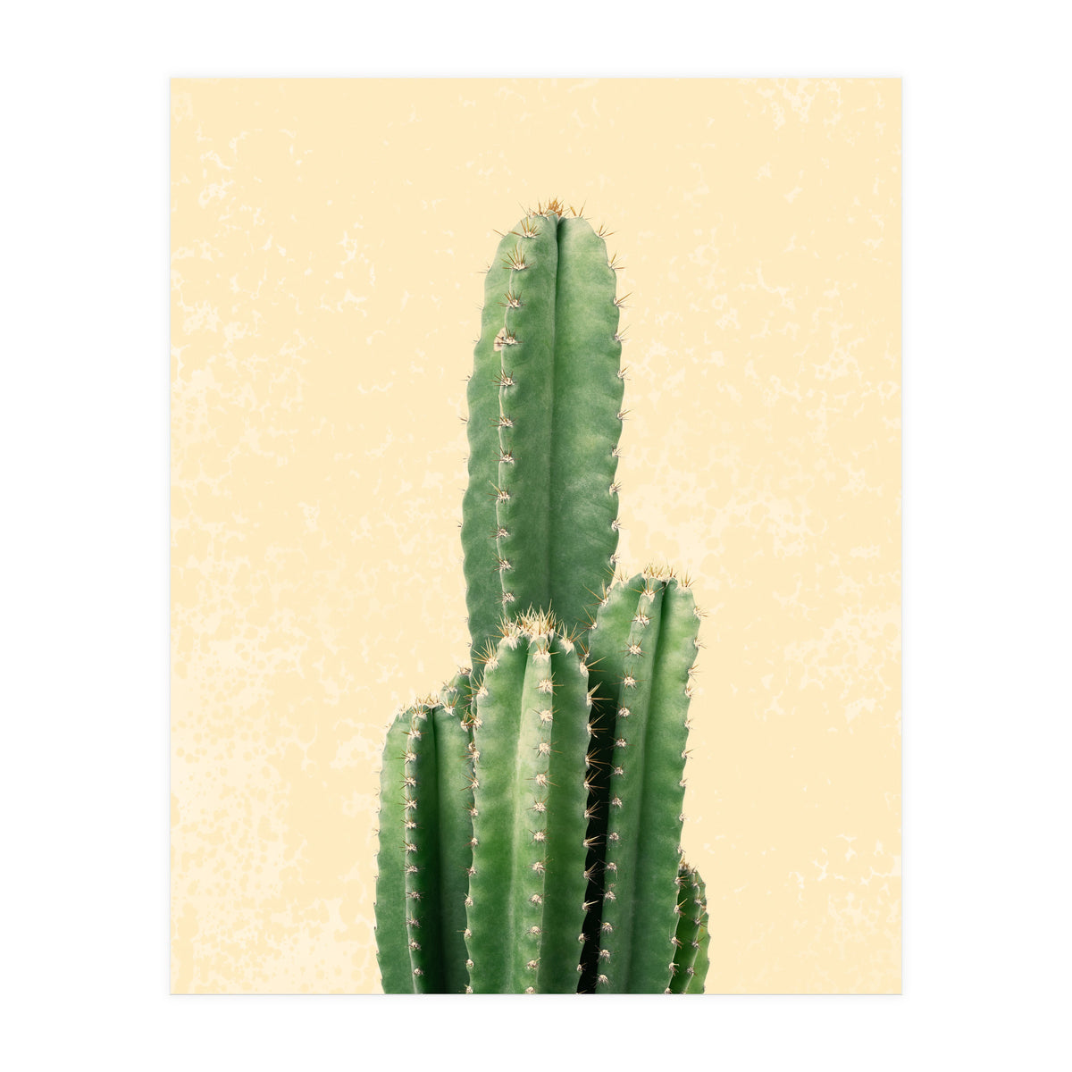 Tall Cactus, Minimal Desert Saguaro Art (Print Only)