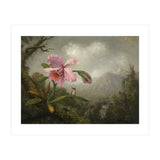 Martin Johnson Heade (Lumberville, 1819-St. Augustine, 1904). Orchid and Hummingbird near a Water... (Print Only) thumbnail