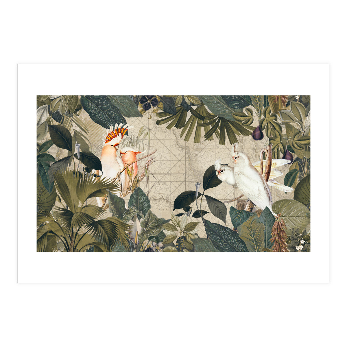 Cockatoo Island (Print Only)