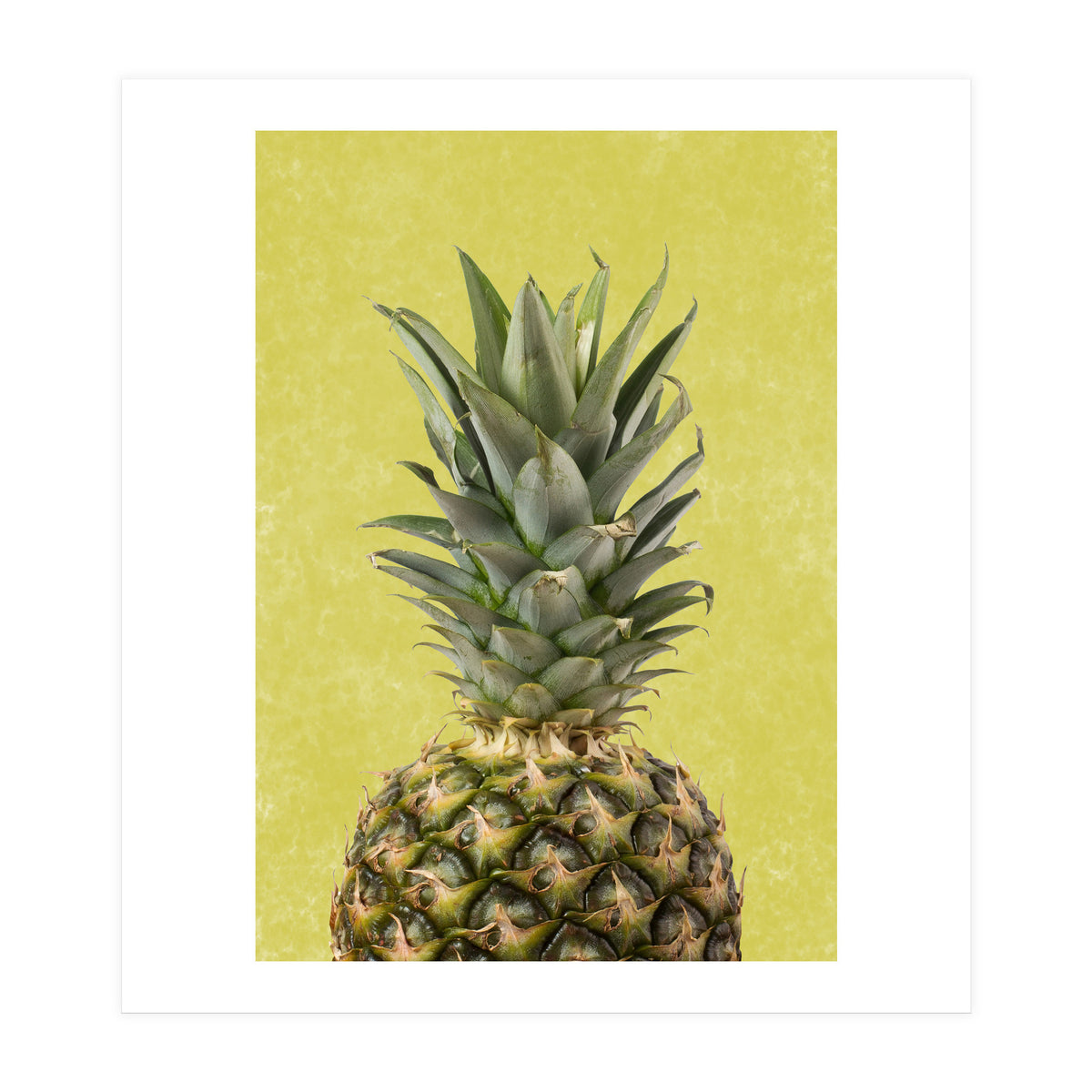 Pineapple Crown, Tropical Summer Fruit Art (Print Only)