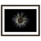 Backyard Flowers No 27 Color Version thumbnail