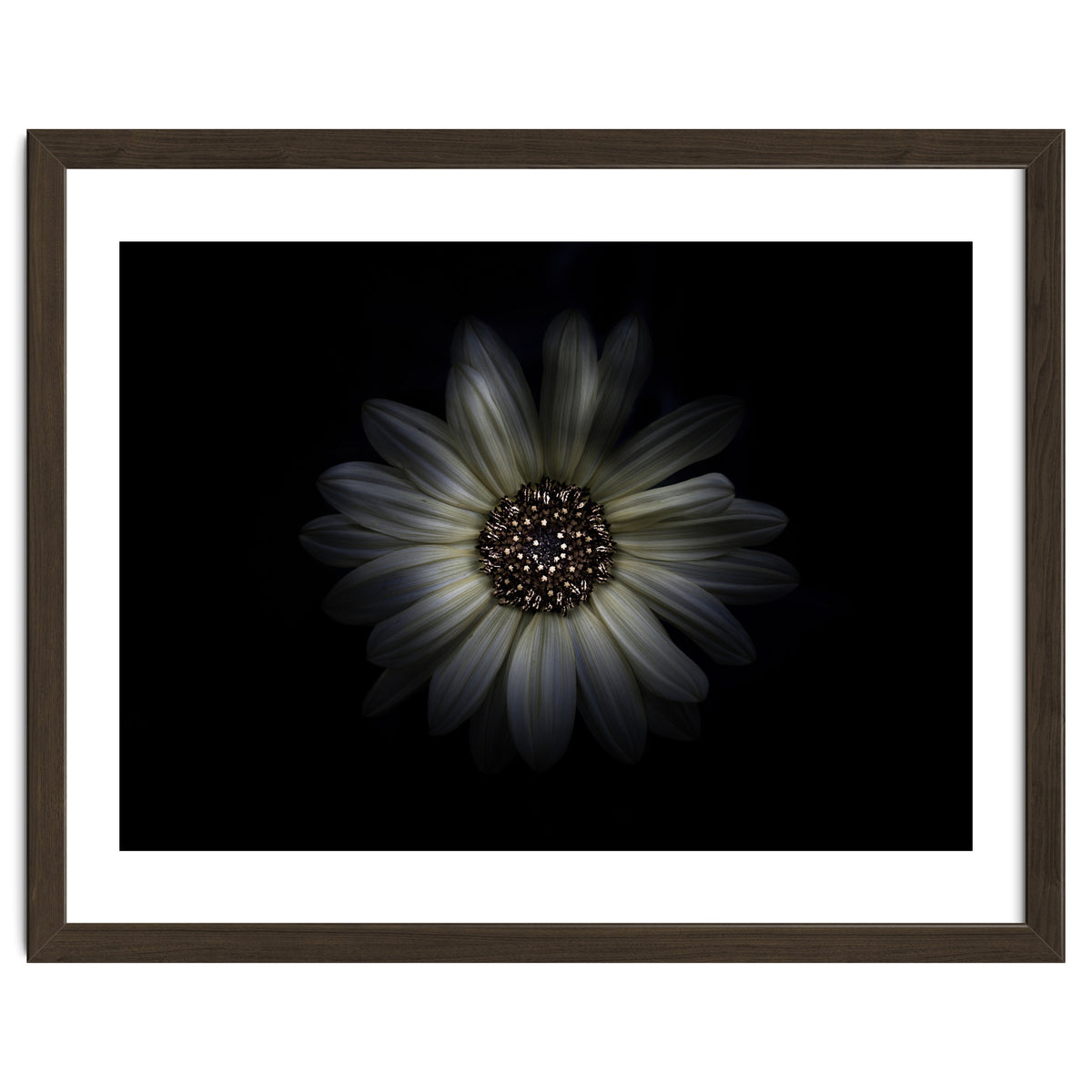 Backyard Flowers No 27 Color Version