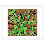 Meadow at spring thumbnail