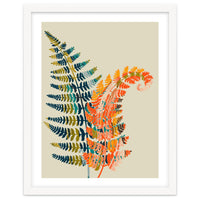 Colorful Fern Leaves