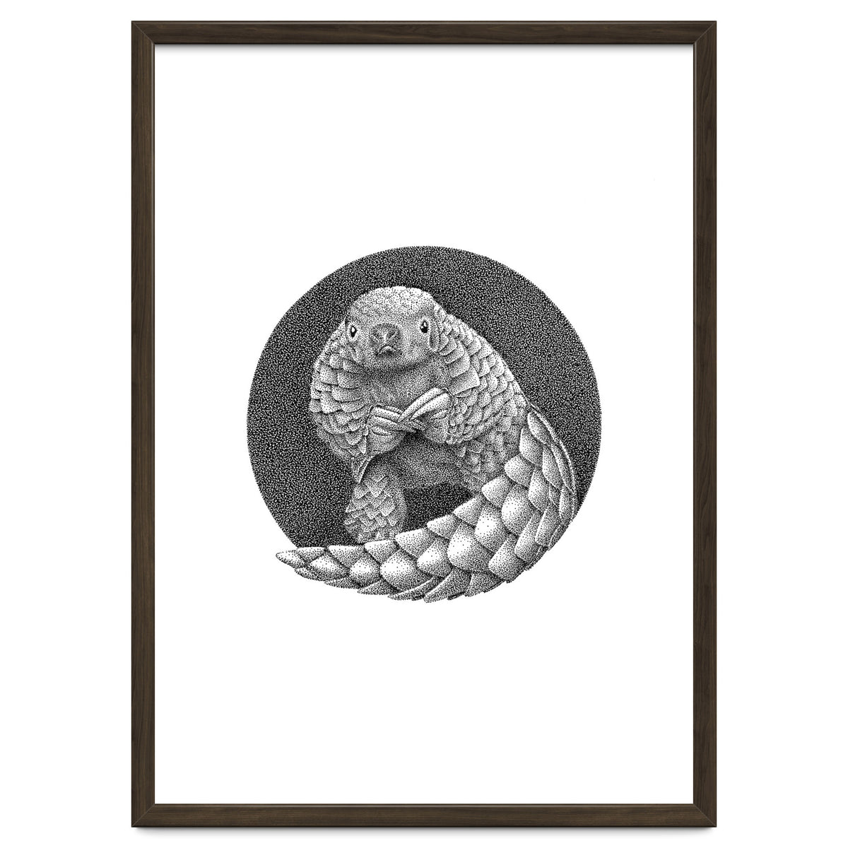 Pangolin no. 1