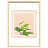 Botanical Art thumbnail