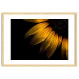Backyard Flowers No 28 Sunflower thumbnail