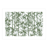 Bamboo Moody Green White (Print Only)