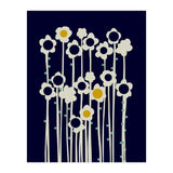 expectant iteration winter sun flowers (Print Only) thumbnail