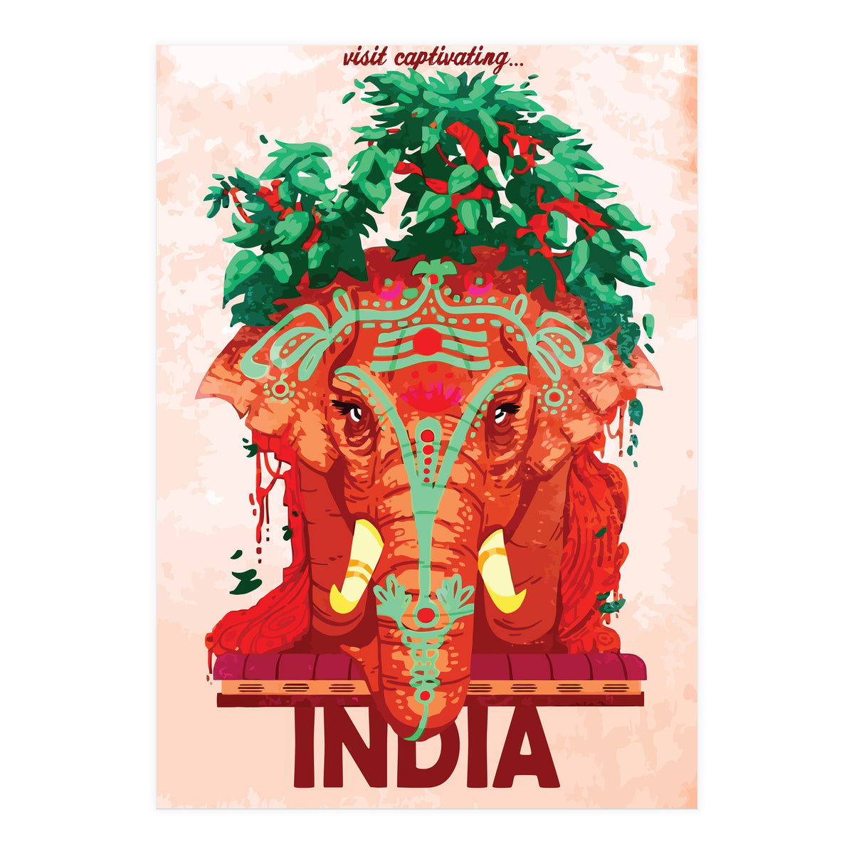 Captivating India (Print Only)