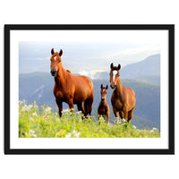 Three Horses