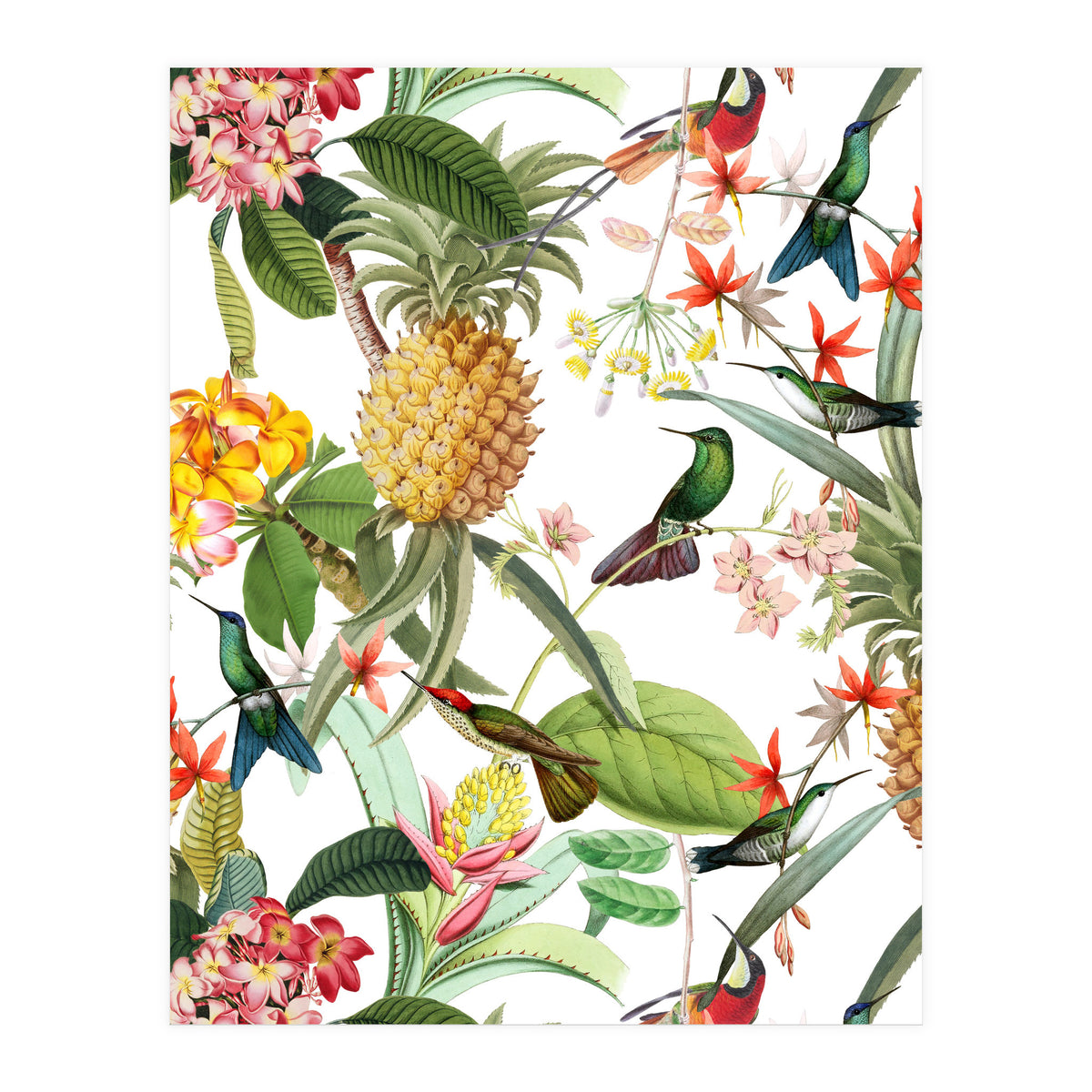 Hummingbirds in tropical Jungle (Print Only)