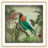 Tropical Bird Nostalgia thumbnail