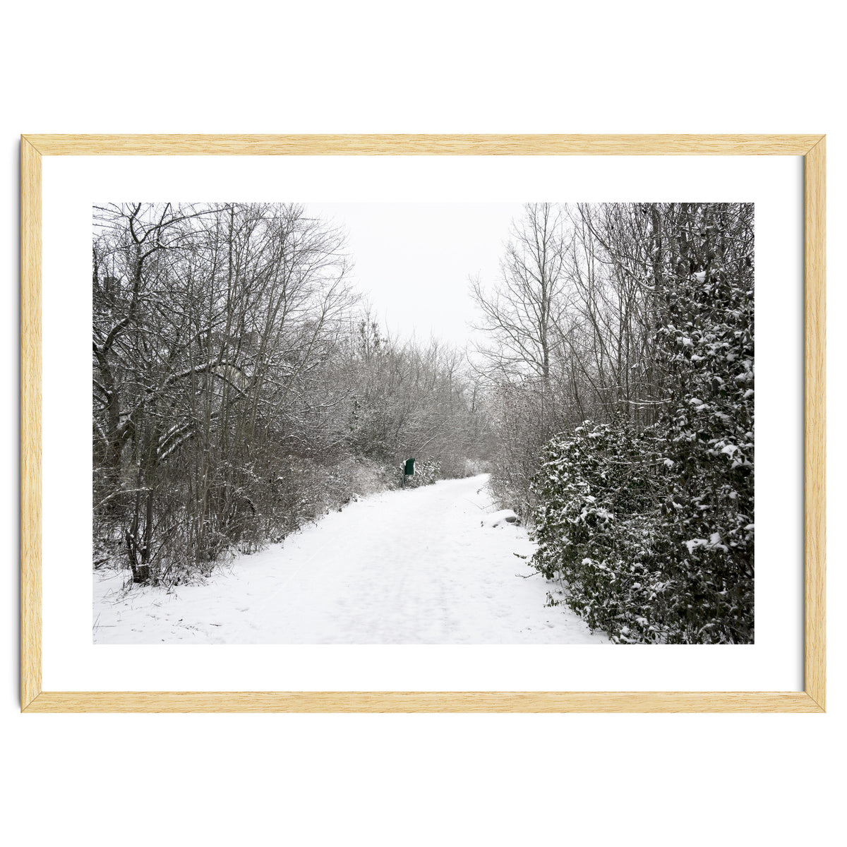 Walking through the snow park