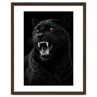 Black leopard with colorful eyes portrait