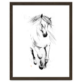 Runninh Ghorse In Water thumbnail