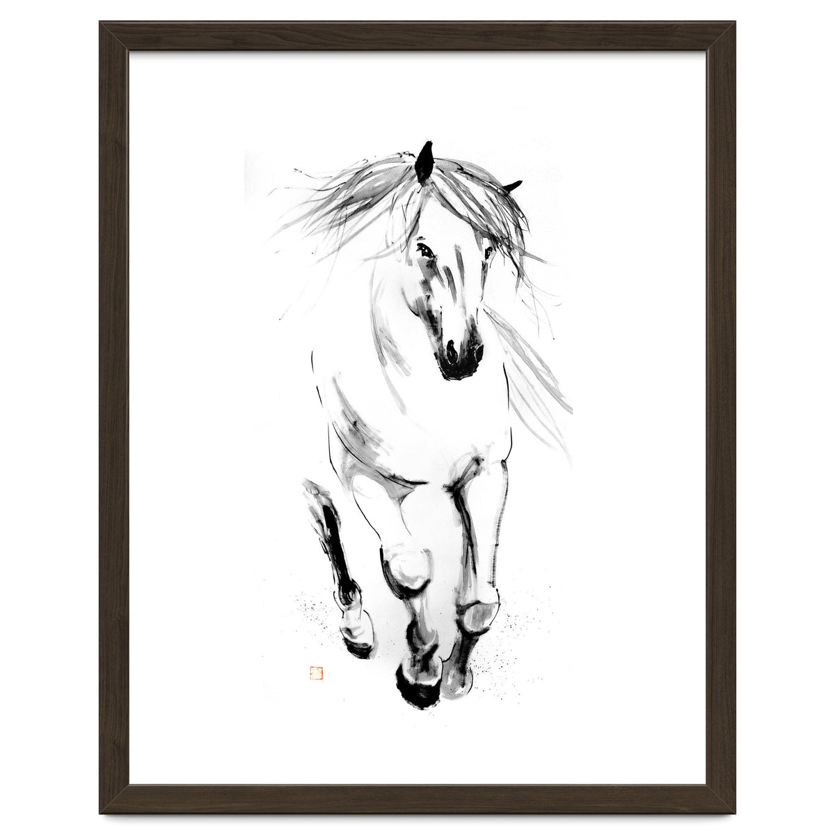 Runninh Ghorse In Water