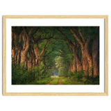 Soft morning light thumbnail