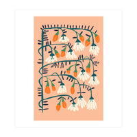 Matisse Expression Purity Peach Fuzz (Print Only)