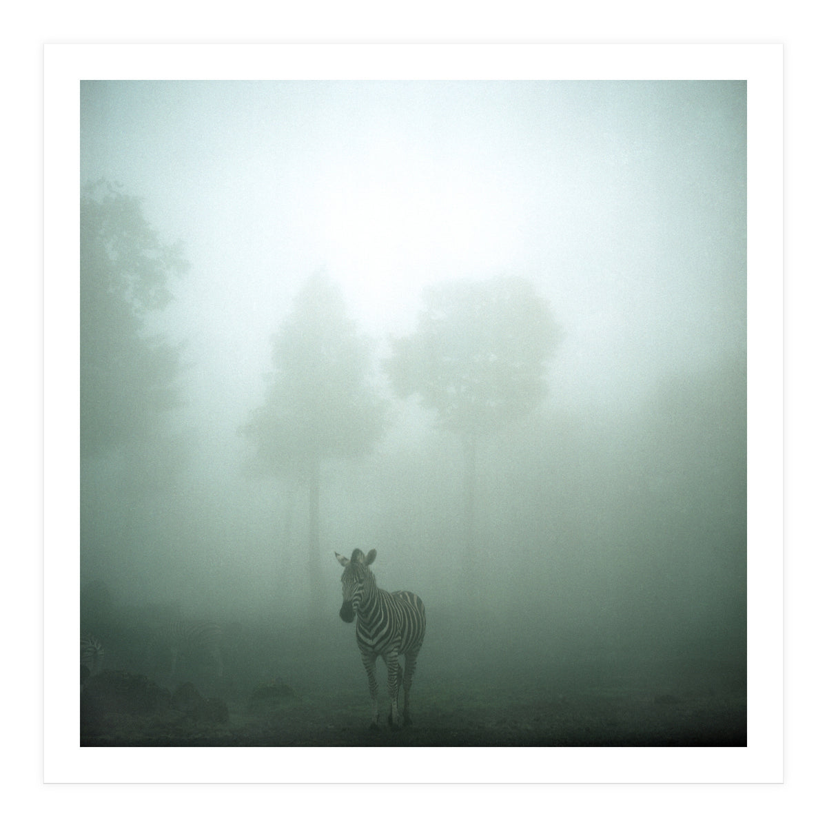 Silence of breath - 01 (Print Only)