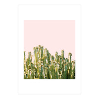 Cactus Blush #society6 #decor #buyart (Print Only)