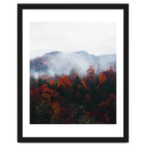 Fog thumbnail