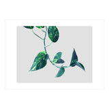 Projection & Emotion (Print Only) thumbnail