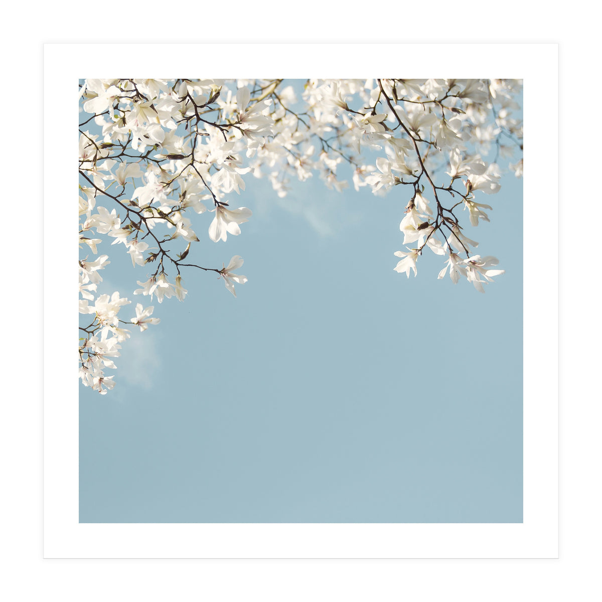 Symphony Blues (Print Only)