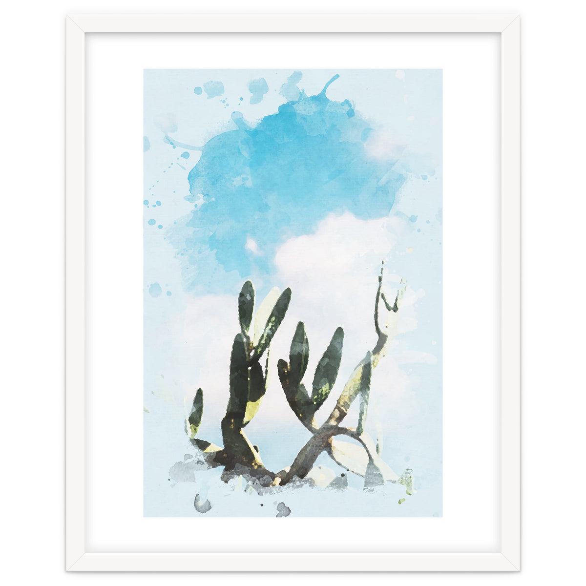 Cactus & Sky