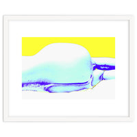 Horizon Study 7