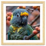 Yellow Headed Amazon Parrot Close Up Portrait thumbnail