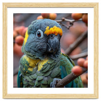 Yellow Headed Amazon Parrot Close Up Portrait