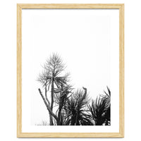 Miminalist Palm
